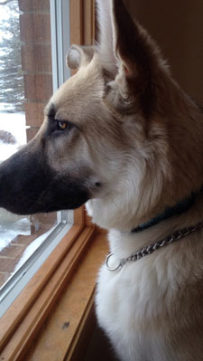 Zeus profile new final