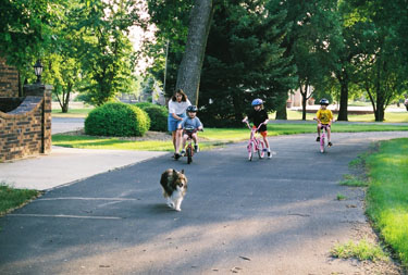 Family exercise digital