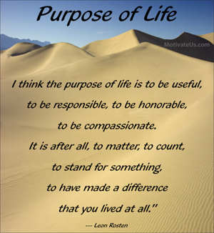 purpose in life 5 digital