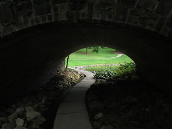 tunnel vision