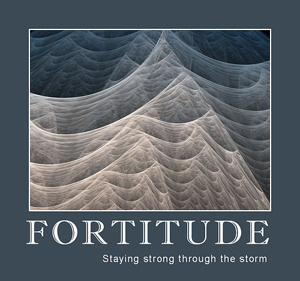 fortitude 2 digital