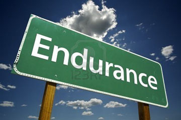 endurance 2 digital