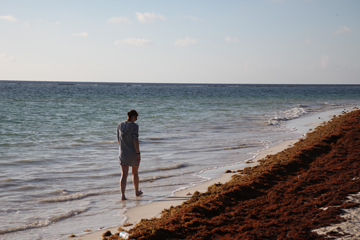 beauty and the beach