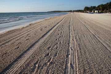 footprints in the sand